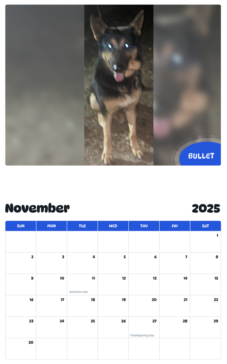 July 2025 - June 2026 Bullet - Pawidols Pet Calendar