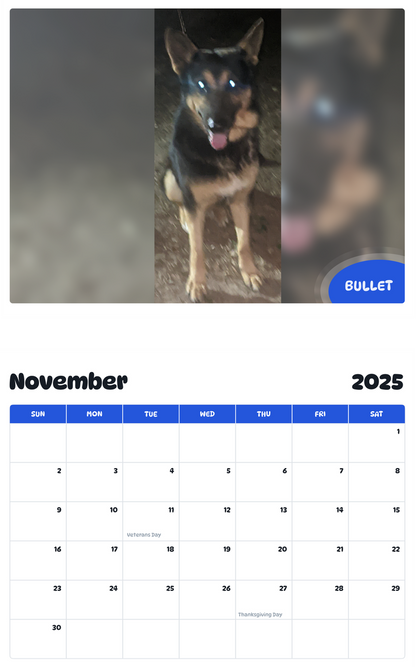 July 2025 - June 2026 Bullet - Pawidols Pet Calendar