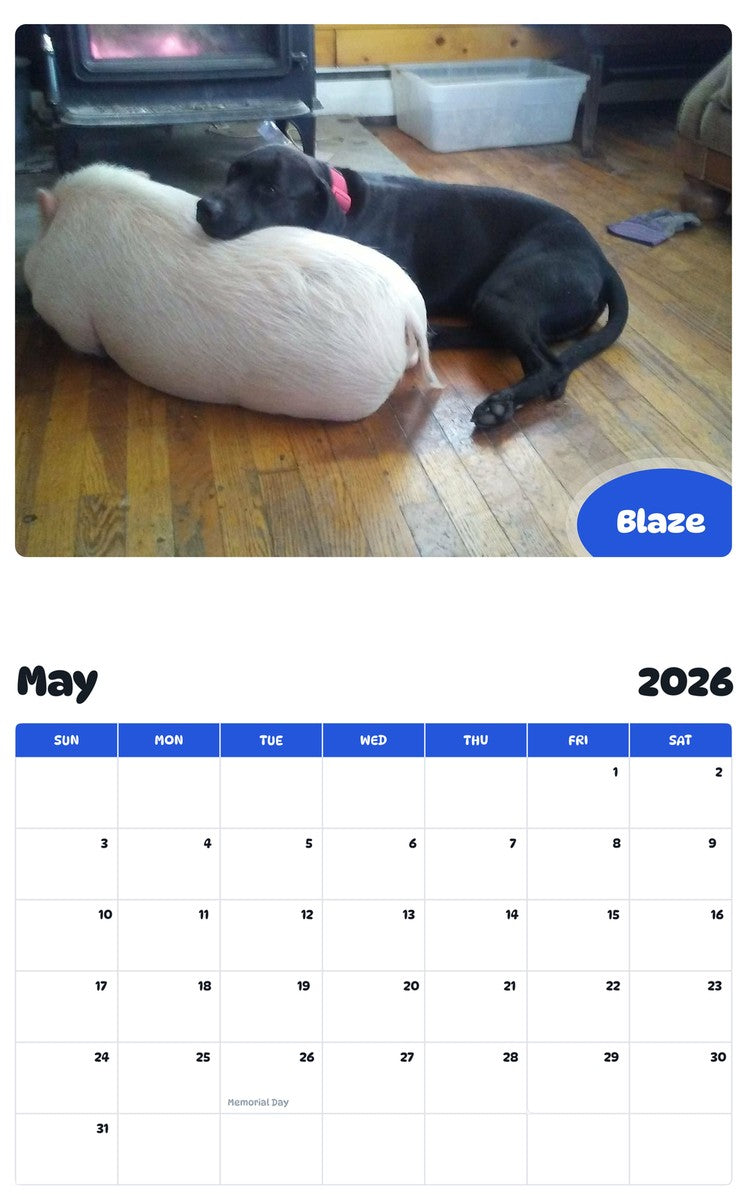 2026 - 2027 Blaze - Pawidols Pet Calendar