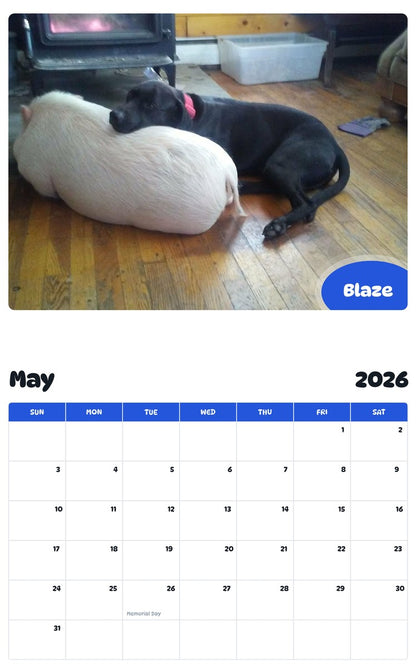 2026 - 2027 Blaze - Pawidols Pet Calendar