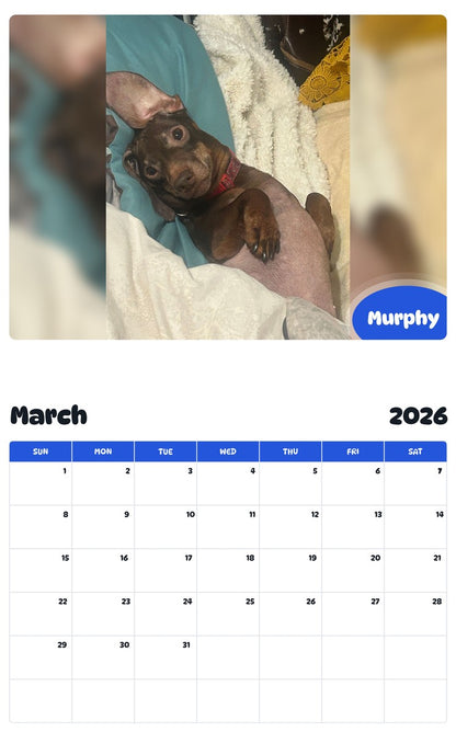 November 2025 - October 2026 Murphy - Pawidols Pet Calendar