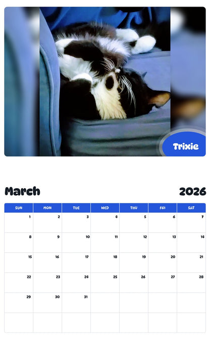 November 2025 - October 2026 Trixie - Pawidols Pet Calendar