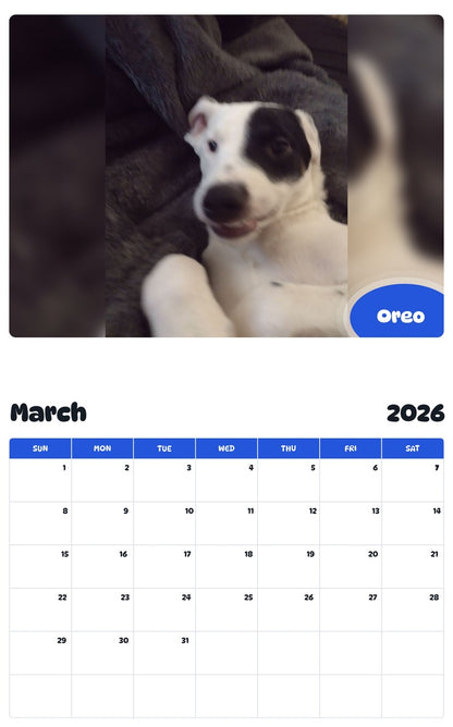 November 2025 - October 2026 Oreo - Pawidols Pet Calendar