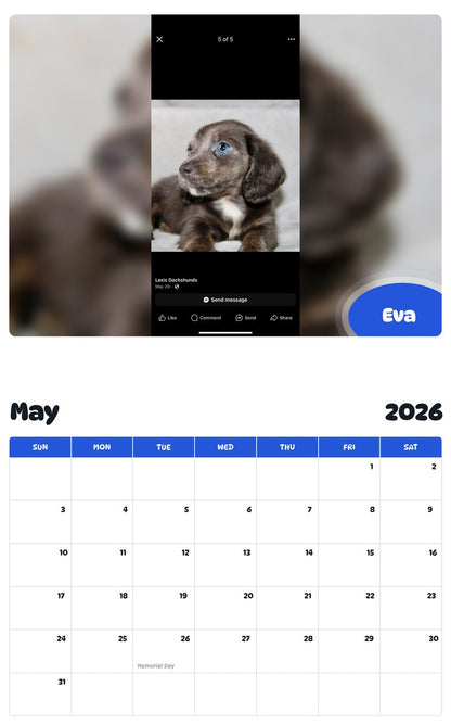 2026 - 2027 Eva - Pawidols Pet Calendar