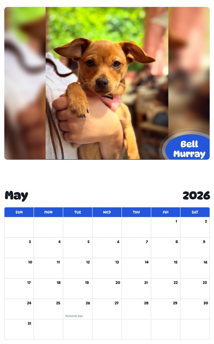 2026 - 2027 Bell Murray - Pawidols Pet Calendar