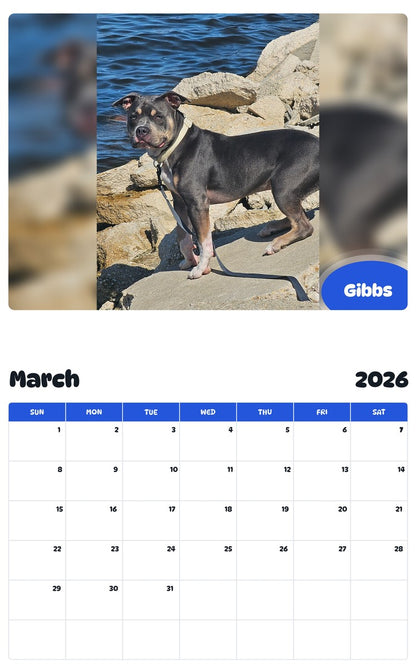November 2025 - October 2026 Gibbs - Pawidols Pet Calendar