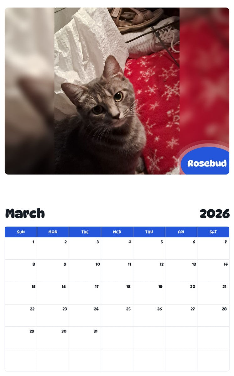 November 2025 - October 2026 Rosebud - Pawidols Pet Calendar