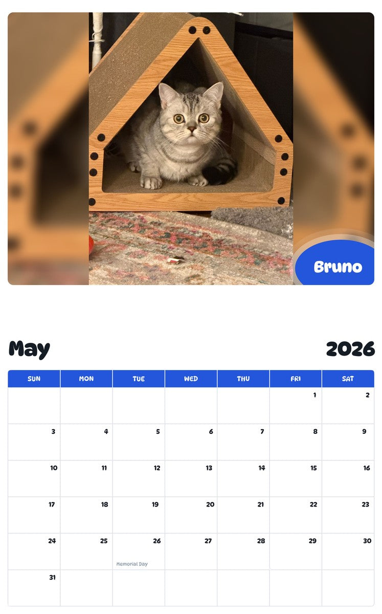 2026 - 2027 Bruno - Pawidols Pet Calendar