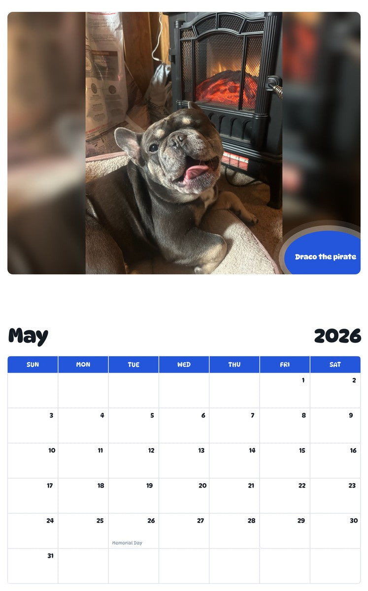 2026 - 2027 Draco the pirate - Pawidols Pet Calendar