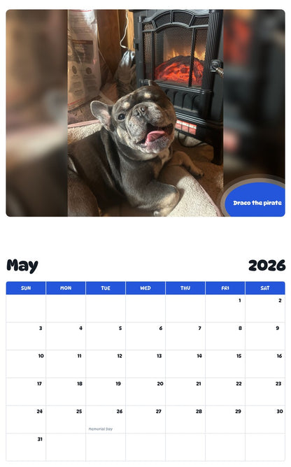 2026 - 2027 Draco the pirate - Pawidols Pet Calendar
