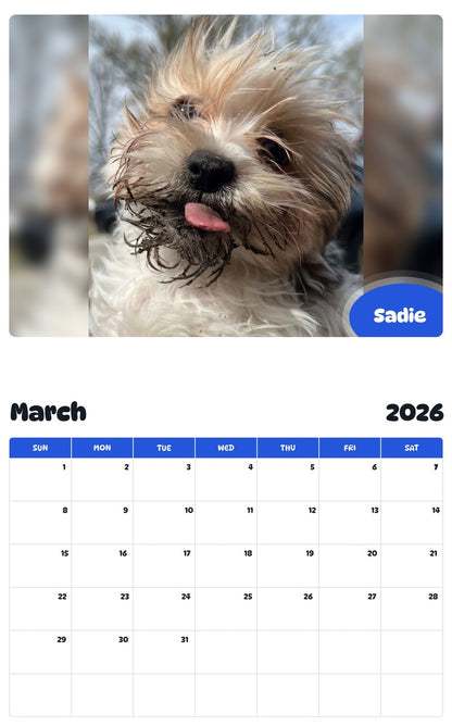 November 2025 - October 2026 Sadie - Pawidols Pet Calendar