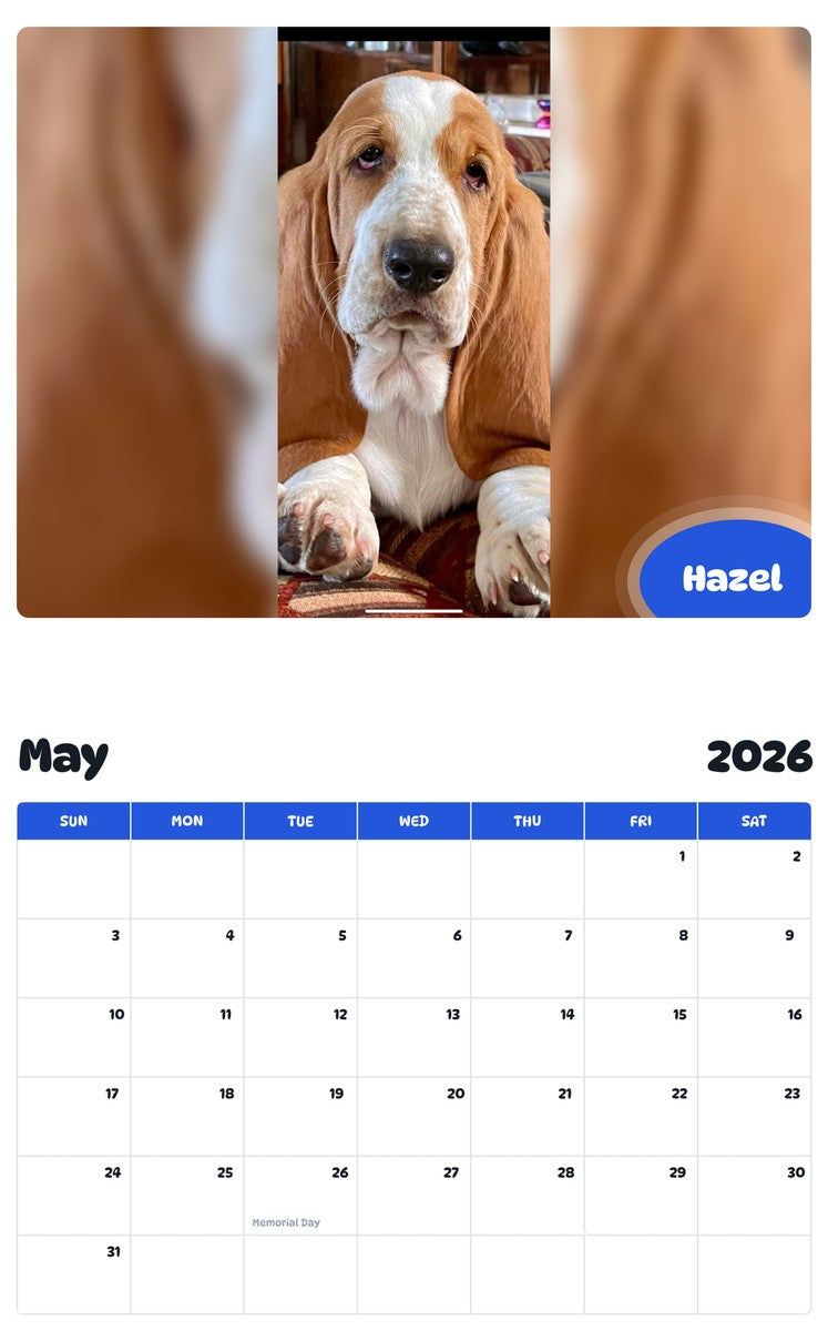 2026 - 2027 Hazel - Pawidols Pet Calendar