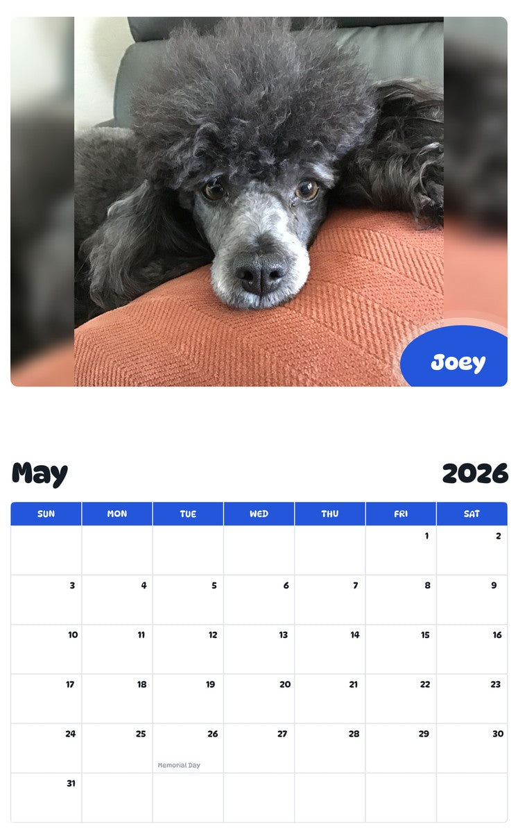 2026 - 2027 Joey - Pawidols Pet Calendar