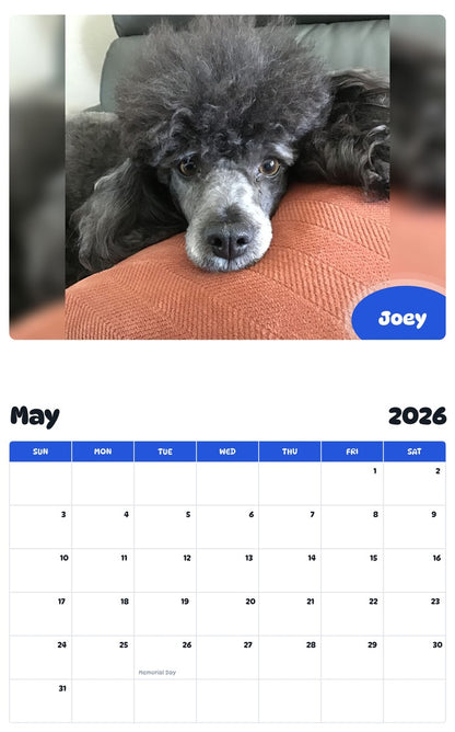 2026 - 2027 Joey - Pawidols Pet Calendar
