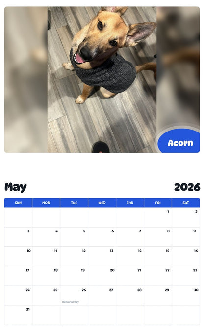 2026 - 2027 Acorn - Pawidols Pet Calendar