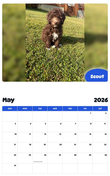 2026 - 2027 Scout - Pawidols Pet Calendar