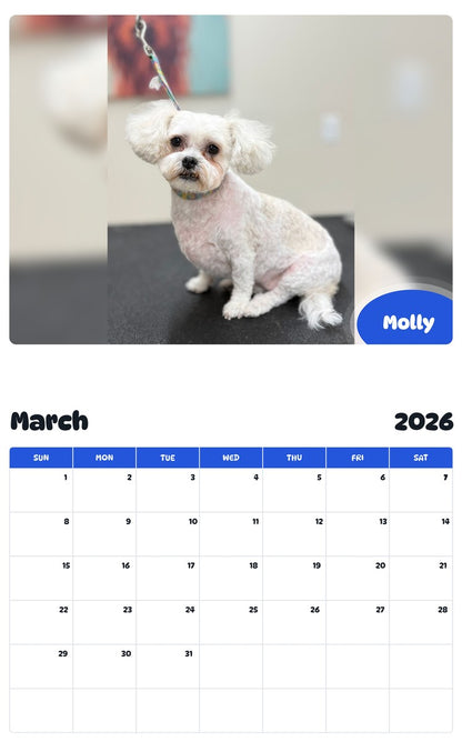November 2025 - October 2026 Molly - Pawidols Pet Calendar