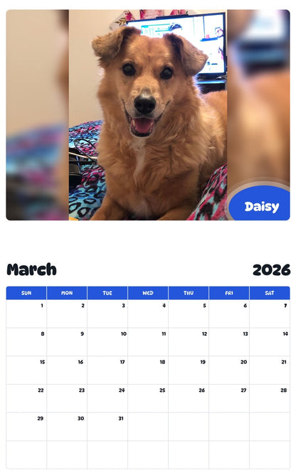 November 2025 - October 2026 Daisy - Pawidols Pet Calendar