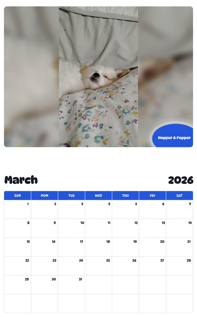 November 2025 - October 2026 Hopper & Popper - Pawidols Pet Calendar