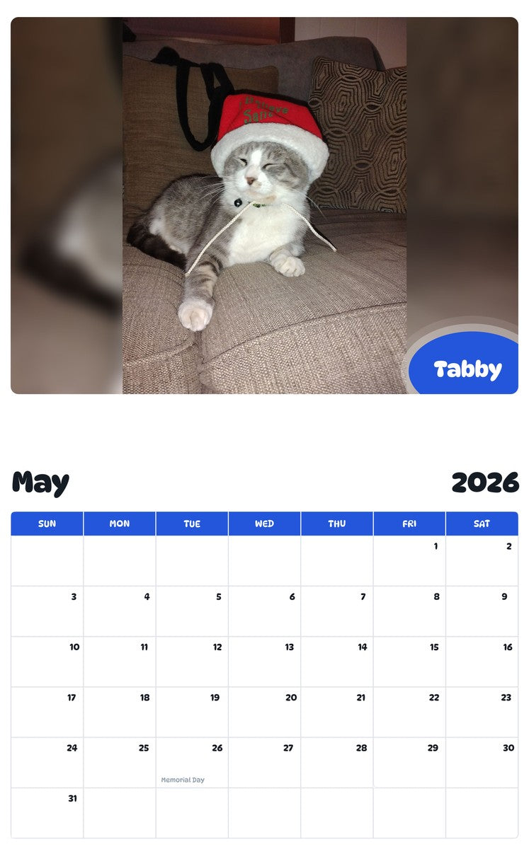 2026 - 2027 Tabby - Pawidols Pet Calendar