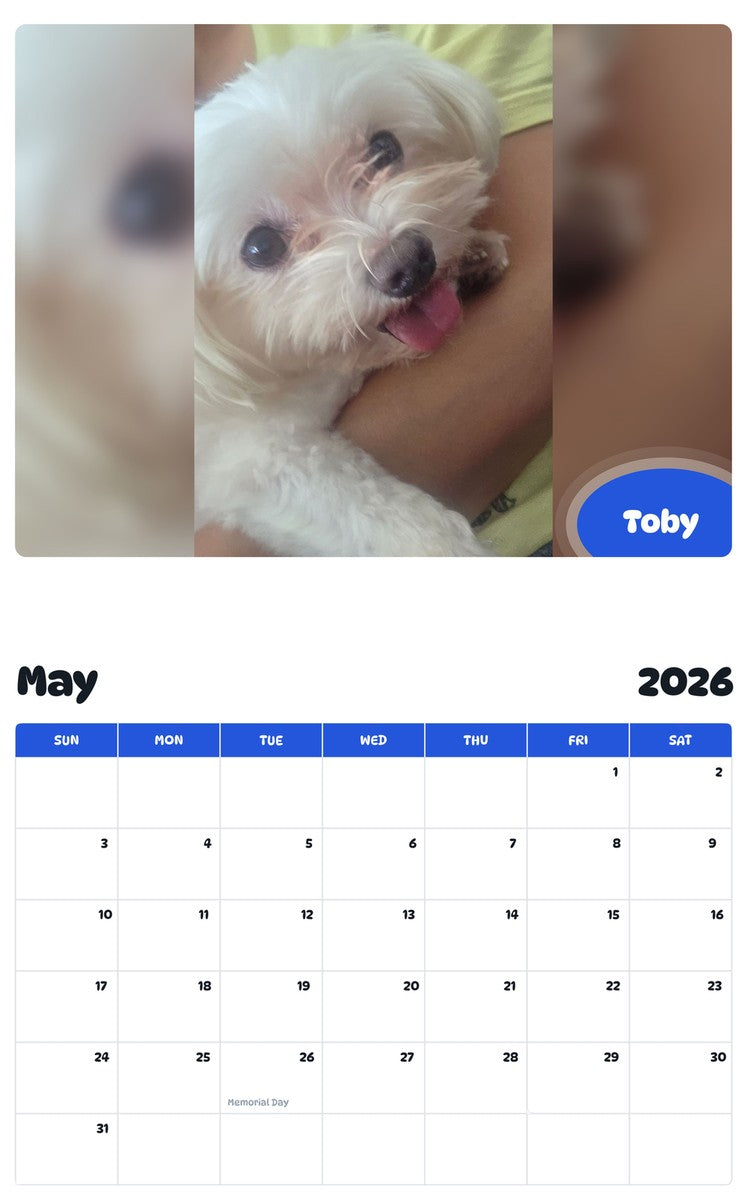 2026 - 2027 Toby - Pawidols Pet Calendar