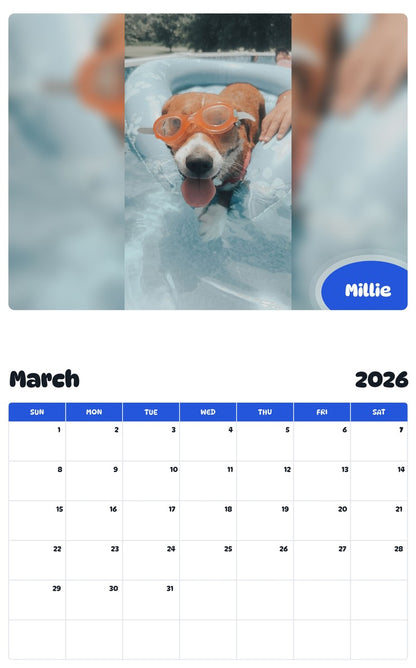 November 2025 - October 2026 Millie - Pawidols Pet Calendar