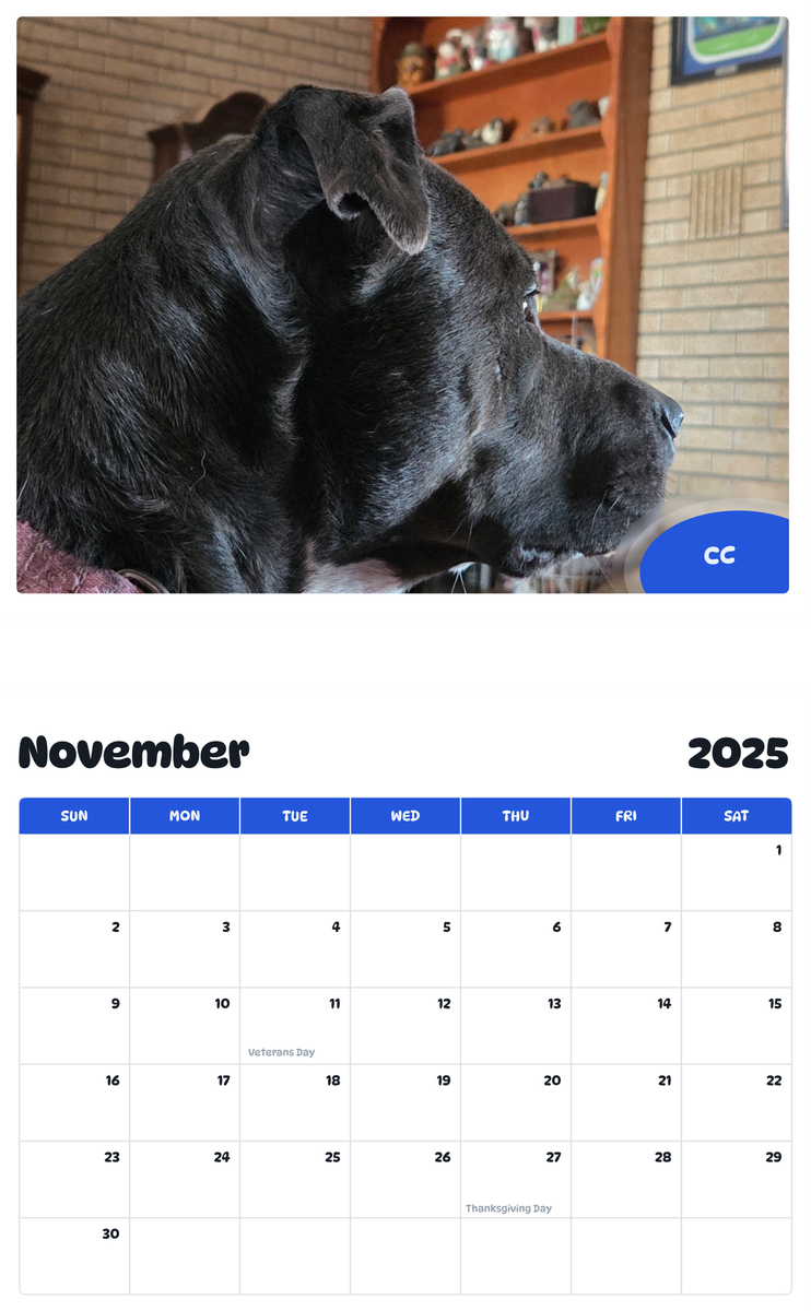 July 2025 - June 2026 CC - Pawidols Pet Calendar