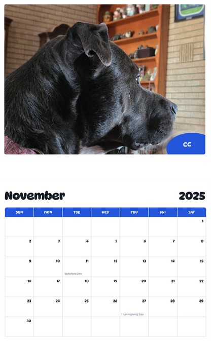 July 2025 - June 2026 CC - Pawidols Pet Calendar