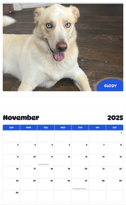 July 2025 - June 2026 Buddy - Pawidols Pet Calendar