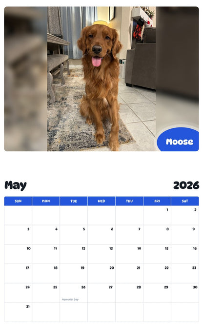 2026 - 2027 Moose - Pawidols Pet Calendar