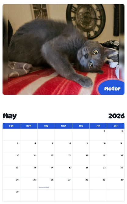 2026 - 2027 Motor - Pawidols Pet Calendar