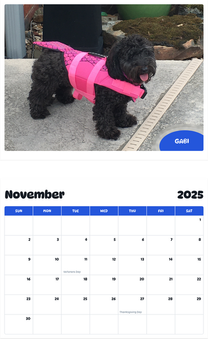July 2025 - June 2026 Gabi - Pawidols Pet Calendar