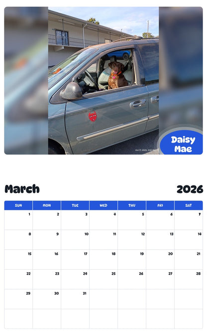 November 2025 - October 2026 Daisy Mae - Pawidols Pet Calendar