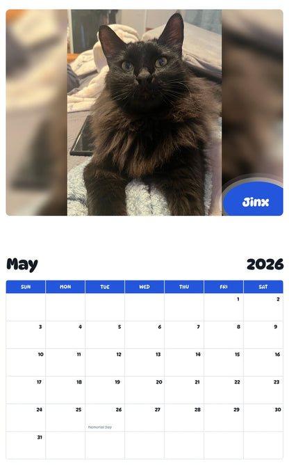 2026 - 2027 Jinx - Pawidols Pet Calendar