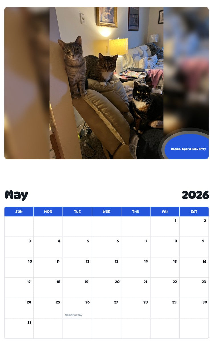 2026 - 2027 Beanie, Tiger & Baby Kitty - Pawidols Pet Calendar