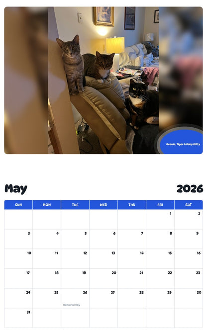 2026 - 2027 Beanie, Tiger & Baby Kitty - Pawidols Pet Calendar