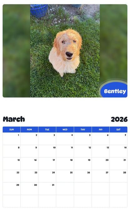 November 2025 - October 2026 Bentley - Pawidols Pet Calendar