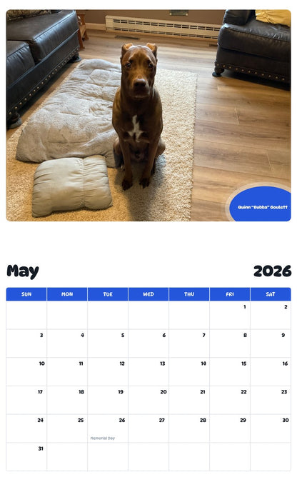 2026 - 2027 Quinn “Bubba” Goulett - Pawidols Pet Calendar