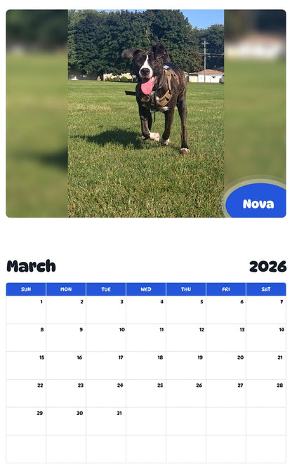November 2025 - October 2026 Nova - Pawidols Pet Calendar