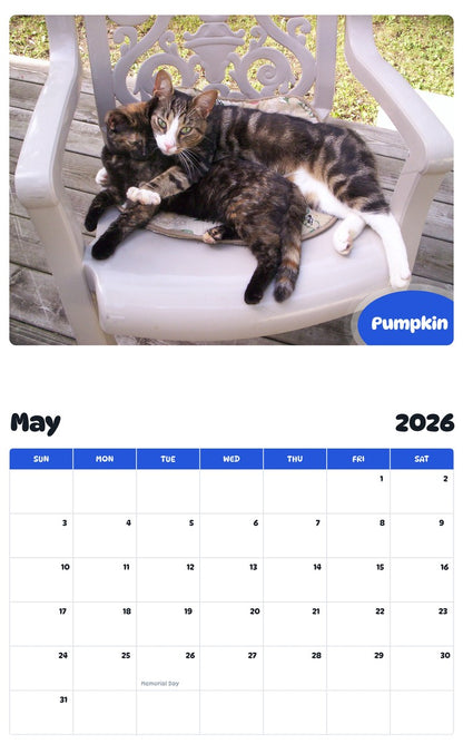 2026 - 2027 Pumpkin - Pawidols Pet Calendar