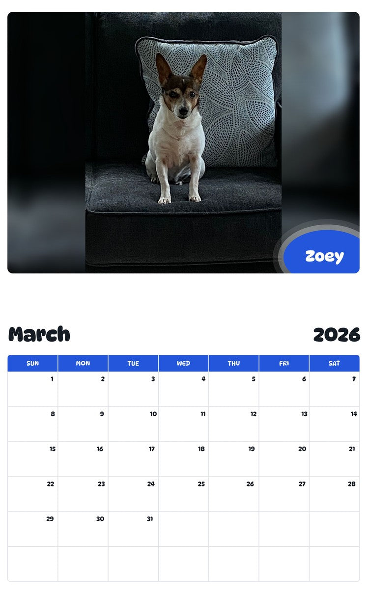 November 2025 - October 2026 Zoey - Pawidols Pet Calendar