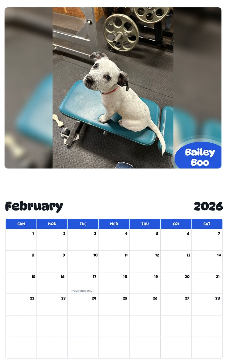 October 2025 - September 2026 Bailey Boo - Pawidols Pet Calendar