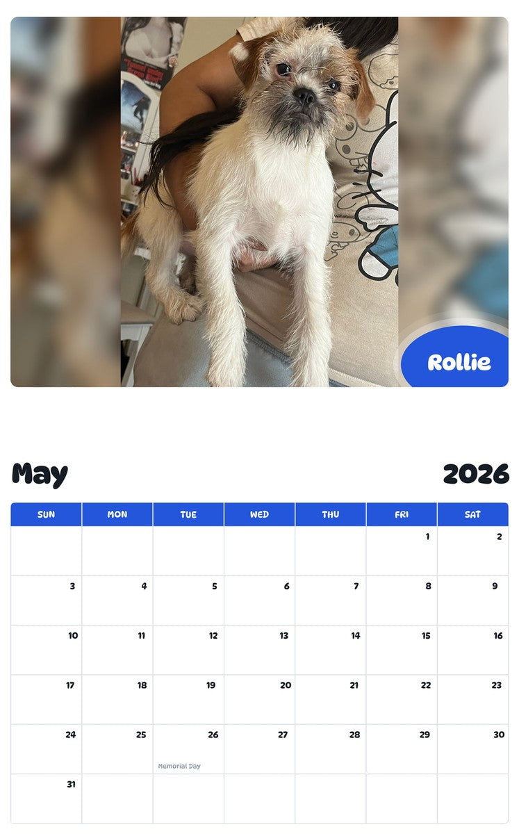 2026 - 2027 Rollie - Pawidols Pet Calendar