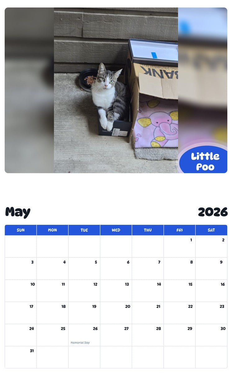 2026 - 2027 Little Poo - Pawidols Pet Calendar