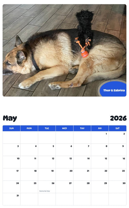 2026 - 2027 Thor & Sabrina - Pawidols Pet Calendar