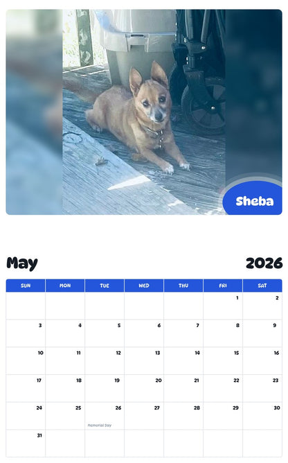 2026 - 2027 Sheba - Pawidols Pet Calendar