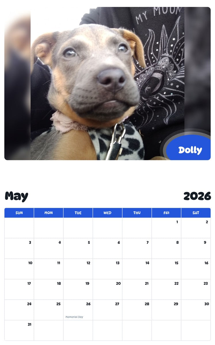 2026 - 2027 Dolly - Pawidols Pet Calendar