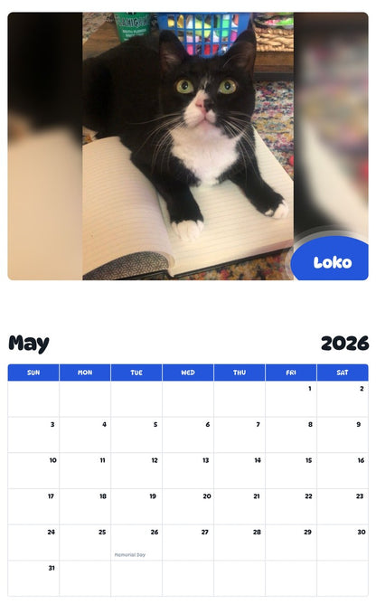 2026 - 2027 Loko - Pawidols Pet Calendar