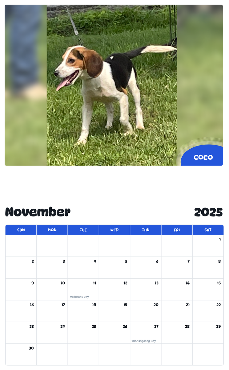 July 2025 - June 2026 Coco - Pawidols Pet Calendar