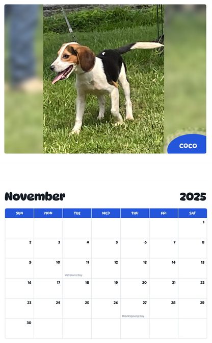 July 2025 - June 2026 Coco - Pawidols Pet Calendar